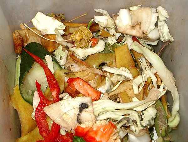 Perbedaan antara biodegradable dan non-biodegradable