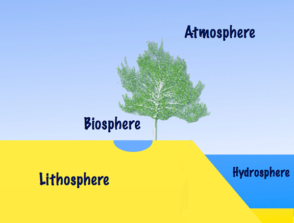 Diferencia entre la biosfera y la litosfera