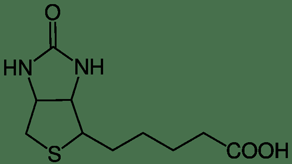 Unterschied zwischen Biotin und Keratin