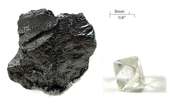 Différence entre le carbone et le graphite