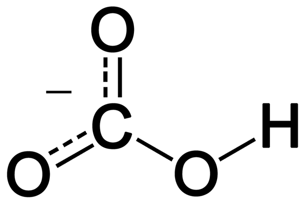 Différence entre le carbonate et le bicarbonate