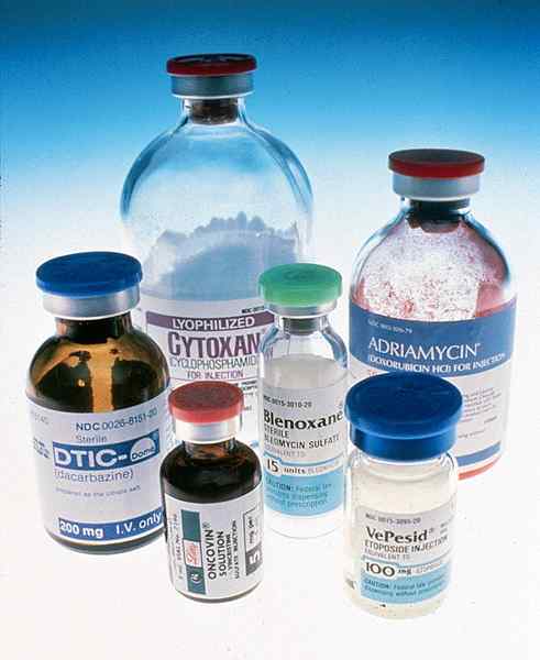 Différence entre le cycle cellulaire spécifique et le cycle cellulaire non spécifique