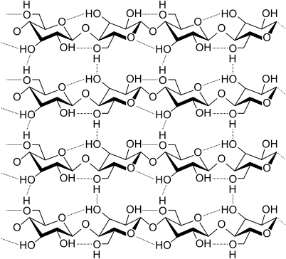 Différence entre la cellulose et l'amidon