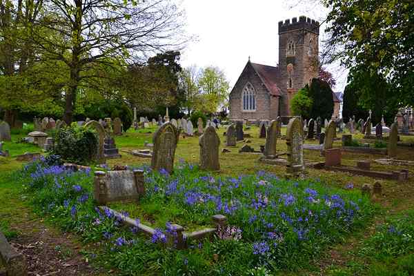 Unterschied zwischen Friedhof und Friedhof