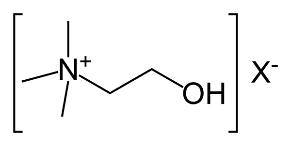 Différence entre la choline et l'acétylcholine