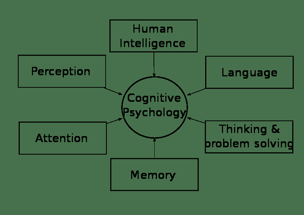 Perbedaan antara psikologi kognitif dan perilaku