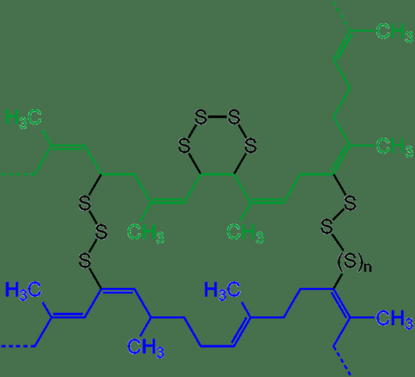 Différence entre le polymère lié au croix et le polymère linéaire