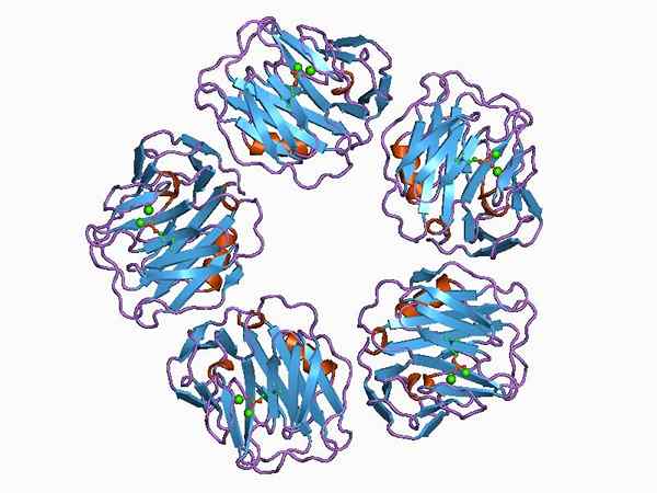 Perbezaan antara CRP dan homocysteine