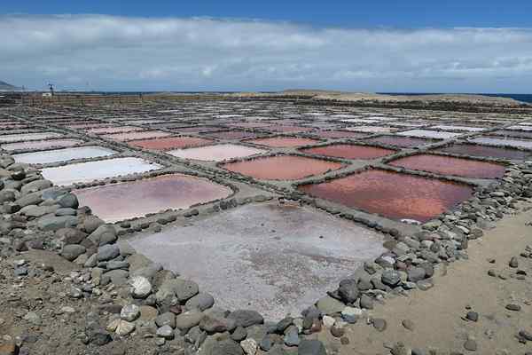 Diferencia entre cristaloides y coloides