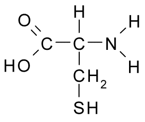 Différence entre la cystéine et la cystine