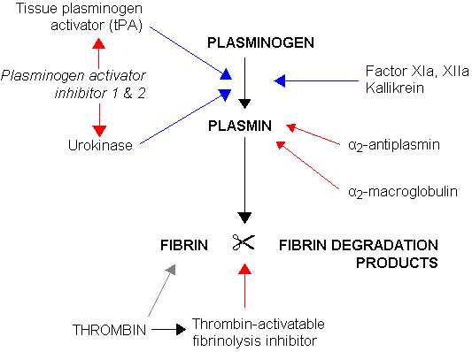 Perbezaan antara dimer d dan fdp