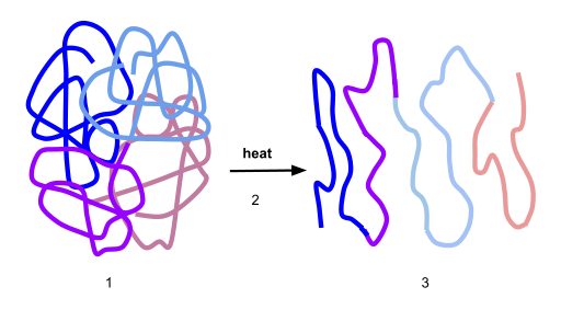 Différence entre dénaturation et coagulation