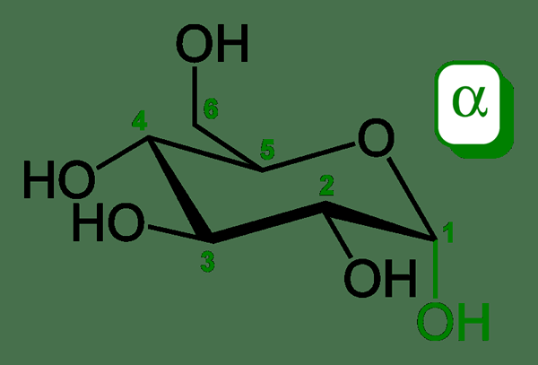 Unterschied zwischen Dextrose und Saccharose