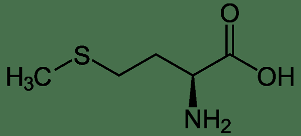 Perbezaan antara DL methionine dan l methionine