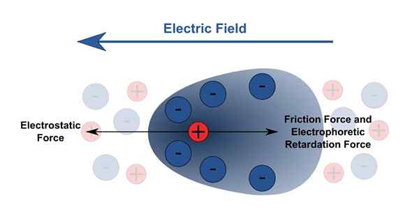 Perbezaan antara elektroforesis dan kromatografi