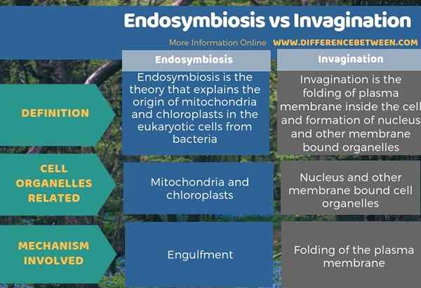 Perbezaan antara endosymbiosis dan invagination