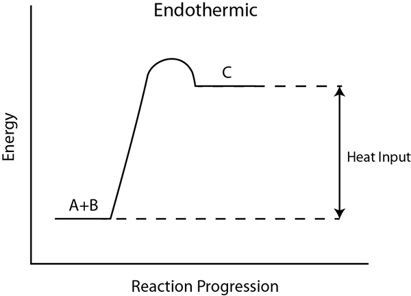 Différence entre les réactions endothermiques et exothermiques