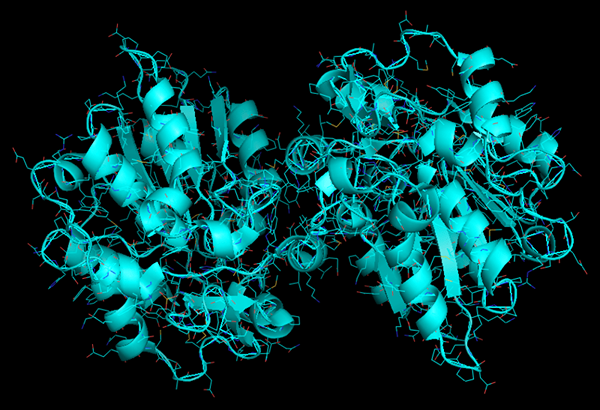 Différence entre estérase et lipase