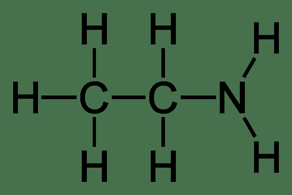 Différence entre l'éthylamine et la diéthylamine