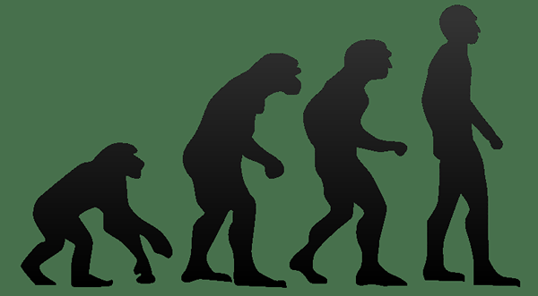 Unterschied zwischen Evolution und Speziation