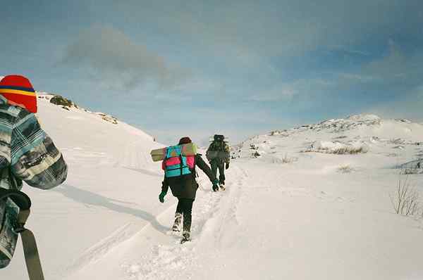 Diferencia entre excursión y expedición