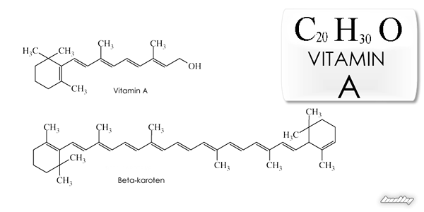 Unterschied zwischen fettlöslichen und wasserlöslichen Vitaminen