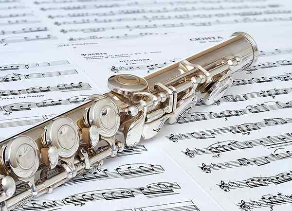 Diferencia entre flauta y piccolo