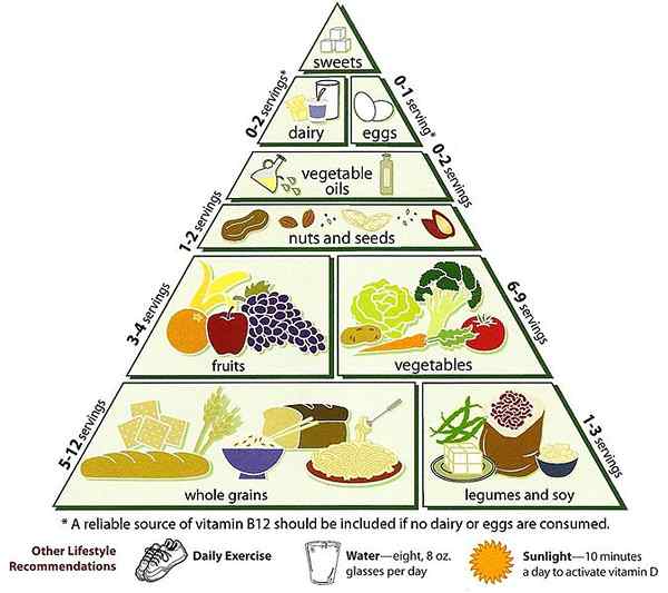 Unterschied zwischen Nahrungskette und Nahrungsmittelpyramide