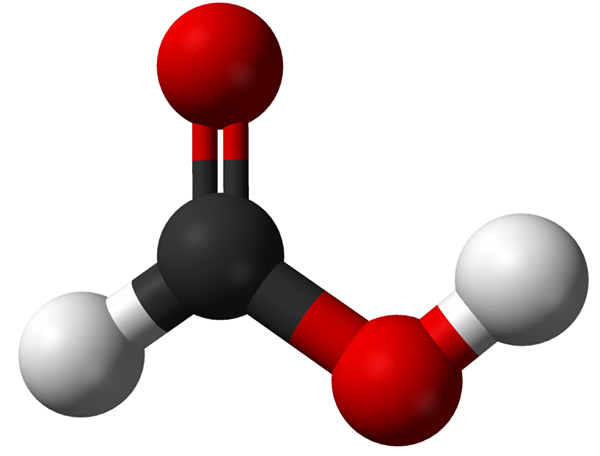 Différence entre l'acide formique et l'acide acétique