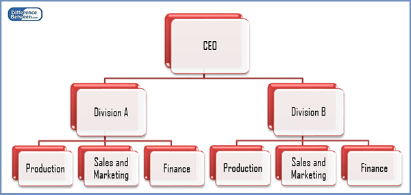 Diferencia entre la estructura funcional y divisional