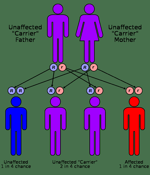 Unterschied zwischen Gentests und Screening