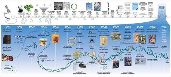 Différence entre le génome et l'exome