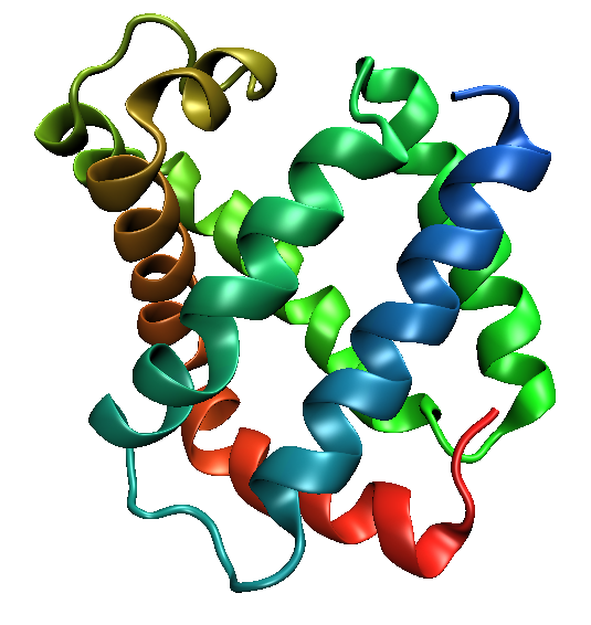 Unterschied zwischen Globin und Globulin