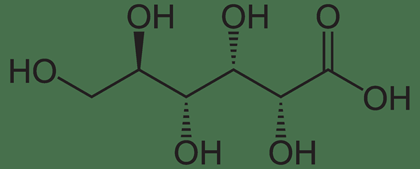 Différence entre l'acide gluconique et l'acide glucuronique