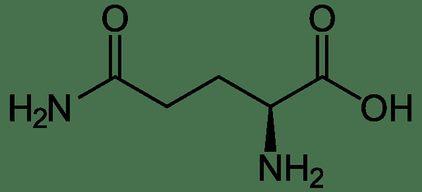 Perbezaan antara glutamin dan L-glutamin