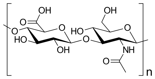 Différence entre l'acide glycolique et l'acide hyaluronique