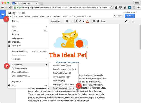 Diferencia entre Google Docs y Google Drive