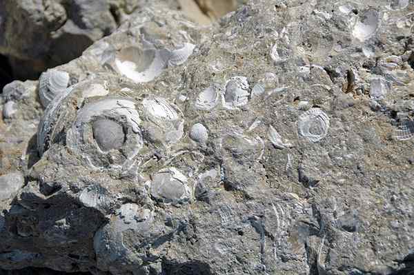 Diferencia entre el yeso y la piedra caliza