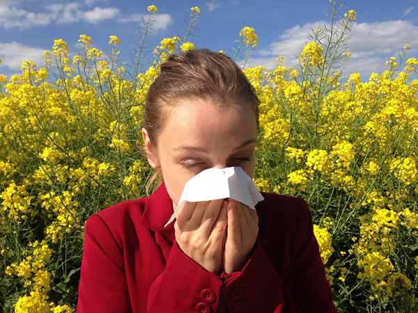 Perbezaan antara hayfever dan sejuk