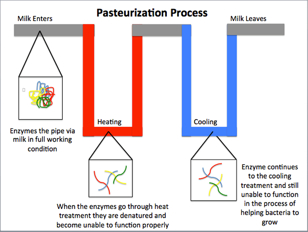 Différence entre les techniques de pasteurisation HTST et UHT