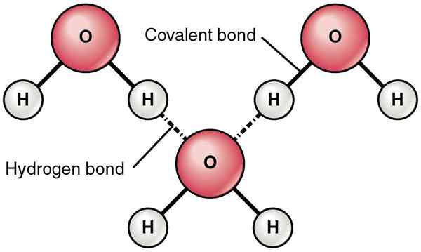 Perbezaan antara penderma dan penerima Hidrogen Bond