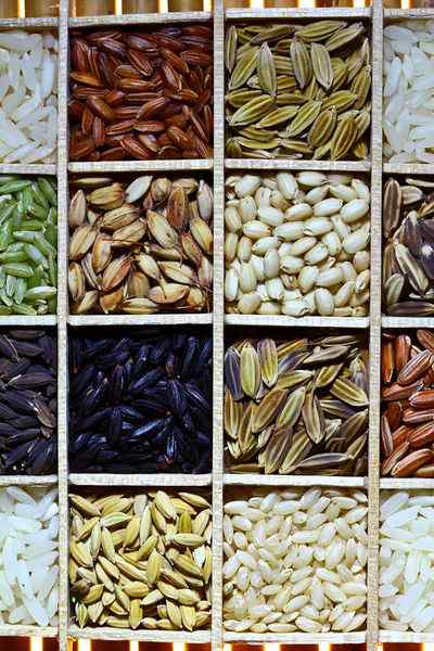 Unterschied zwischen HyV -Samen und traditionellen Samen