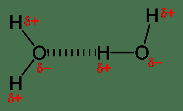 Perbezaan antara ikatan hidrogen intermolecular dan intramolekul