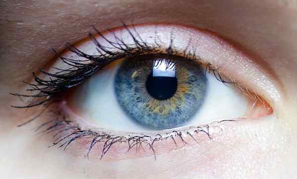 Perbezaan antara ophthalmoplegia dalaman dan luaran