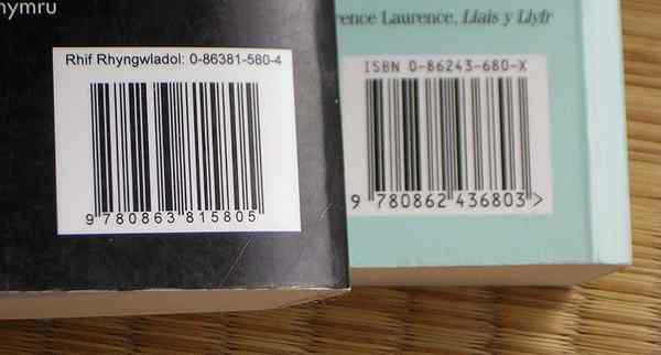 Diferencia entre ISBN 10 e ISBN 13