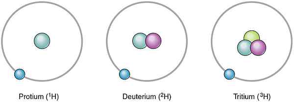 Différence entre les isotopes et les éléments