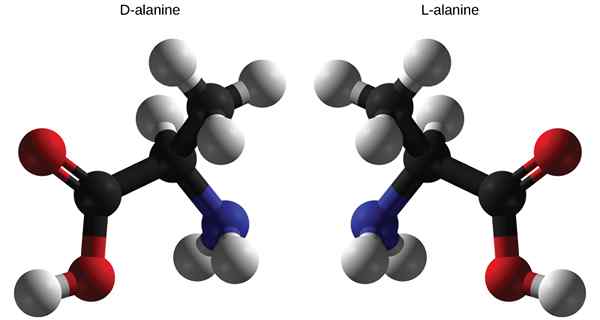 Perbedaan antara asam amino L dan D