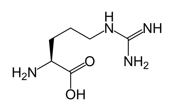 Différence entre la L arginine et l'oxyde nitrique