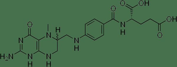 Différence entre le méthylfolate et l'acide folique