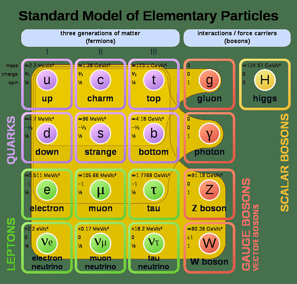 Différence entre les leptons et les quarks